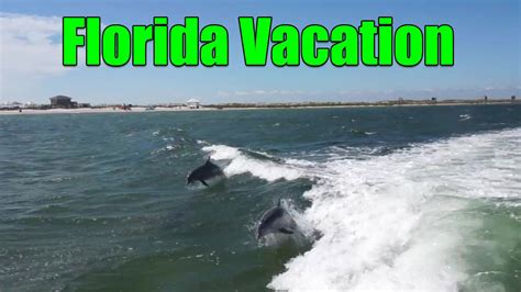 dolphin cruise fort walton beach  from 